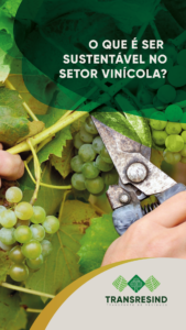 O que é ser sustentável no setor vinícola?