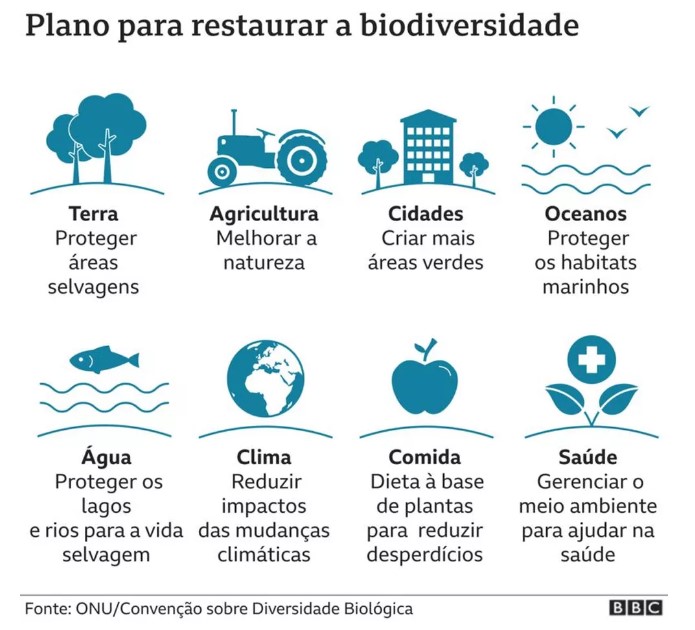 A importância do Dia Internacional da Biodiversidade - Transresind