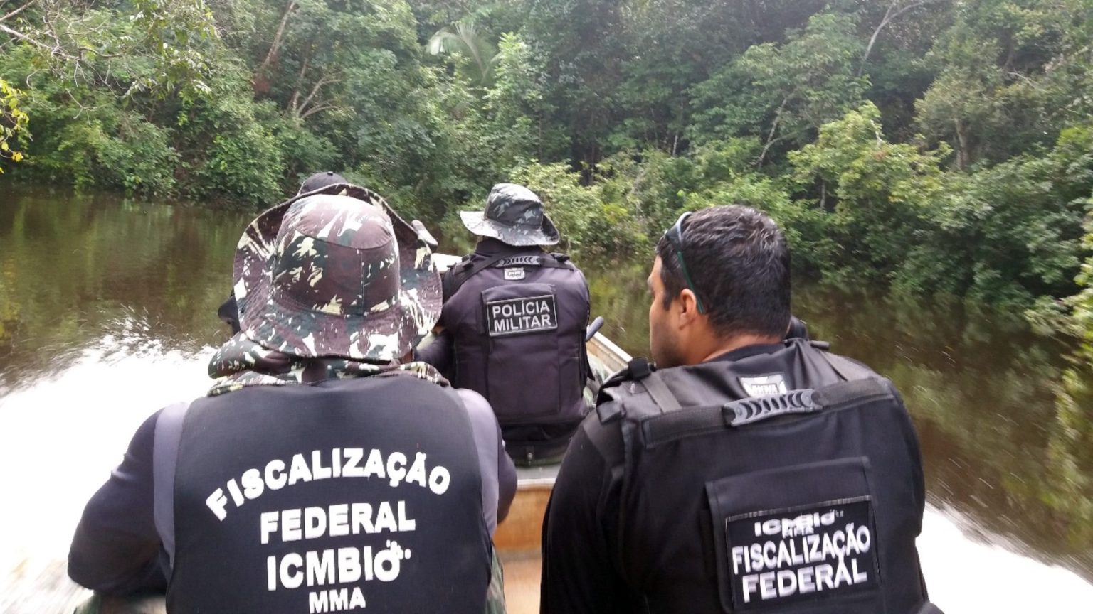 Conheça O ICMBIO – Instituto Chico Mendes De Conservação Da ...